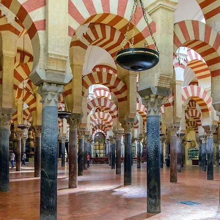 Centro Levante